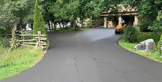 Best Driveway Border and Edging  in Fish Hawk, FL